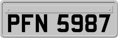PFN5987
