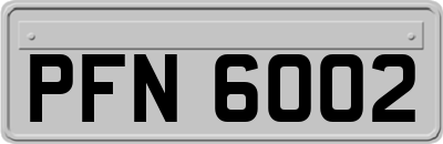 PFN6002