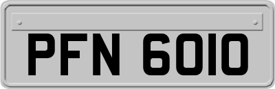 PFN6010