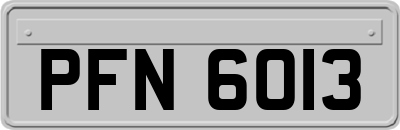 PFN6013