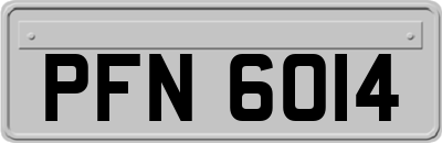 PFN6014