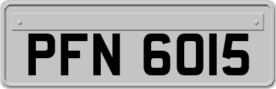 PFN6015
