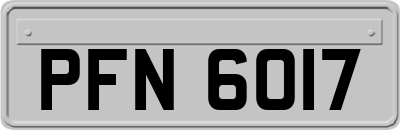 PFN6017