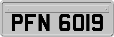 PFN6019