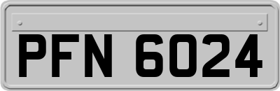 PFN6024
