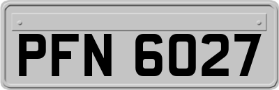 PFN6027