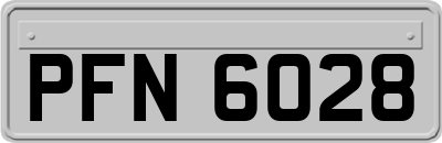PFN6028