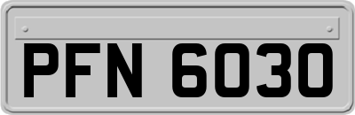 PFN6030