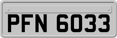 PFN6033