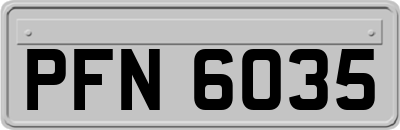 PFN6035
