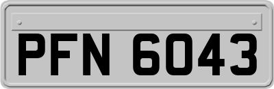 PFN6043