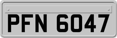 PFN6047