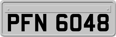PFN6048