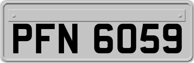 PFN6059