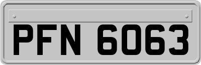 PFN6063