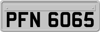 PFN6065