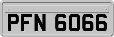 PFN6066