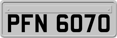 PFN6070
