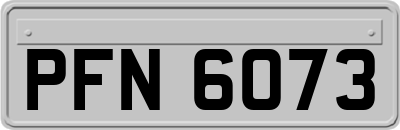 PFN6073