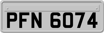 PFN6074