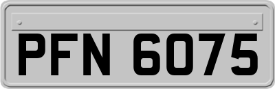 PFN6075