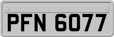 PFN6077