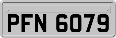 PFN6079