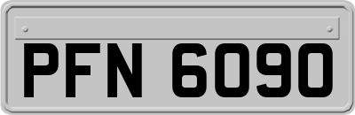 PFN6090