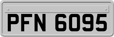 PFN6095