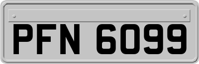 PFN6099