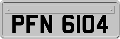 PFN6104