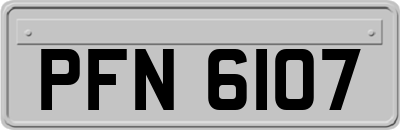 PFN6107