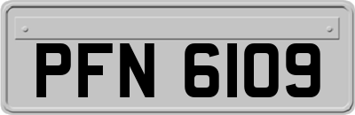 PFN6109