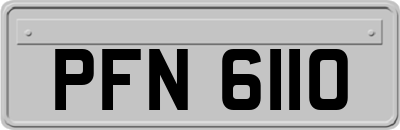 PFN6110