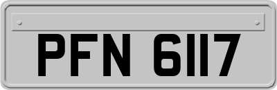 PFN6117