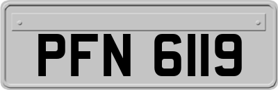 PFN6119