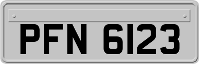 PFN6123