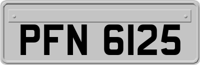 PFN6125