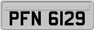 PFN6129
