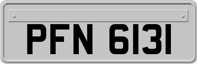 PFN6131