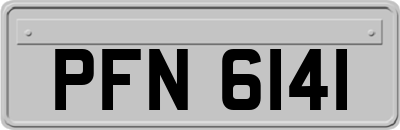 PFN6141