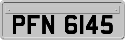 PFN6145