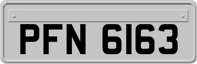 PFN6163