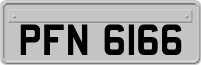 PFN6166