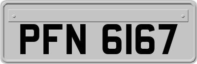 PFN6167
