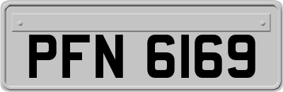 PFN6169