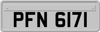 PFN6171