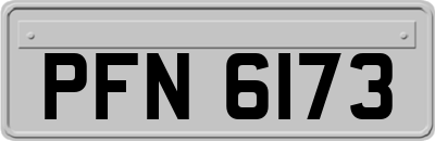 PFN6173