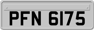 PFN6175