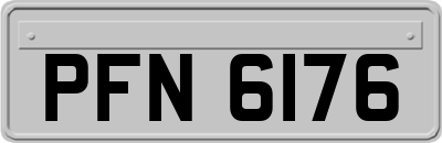 PFN6176